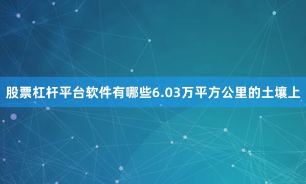 股票杠杆平台软件有哪些6.03万平方公里的土壤上
