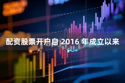 配资股票开户自 2016 年成立以来