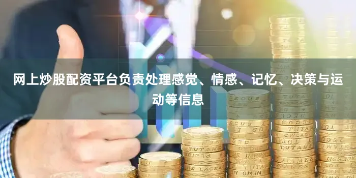 网上炒股配资平台负责处理感觉、情感、记忆、决策与运动等信息