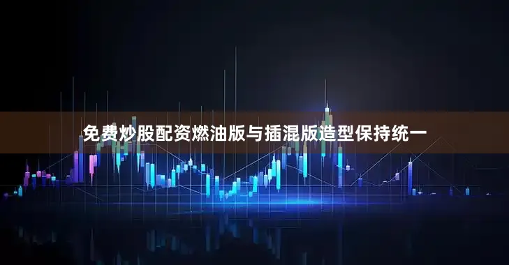 免费炒股配资燃油版与插混版造型保持统一