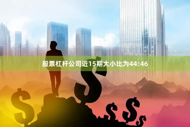 股票杠杆公司近15期大小比为44:46