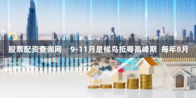 股票配资查询网    9-11月是候鸟抵粤高峰期  每年8月