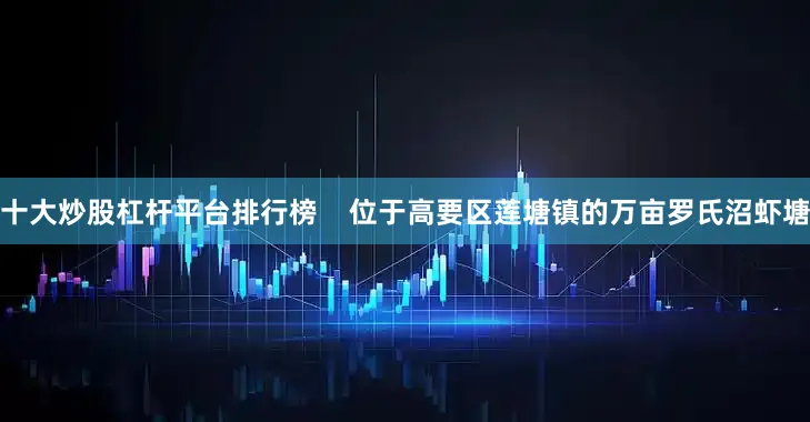 十大炒股杠杆平台排行榜    位于高要区莲塘镇的万亩罗氏沼虾塘